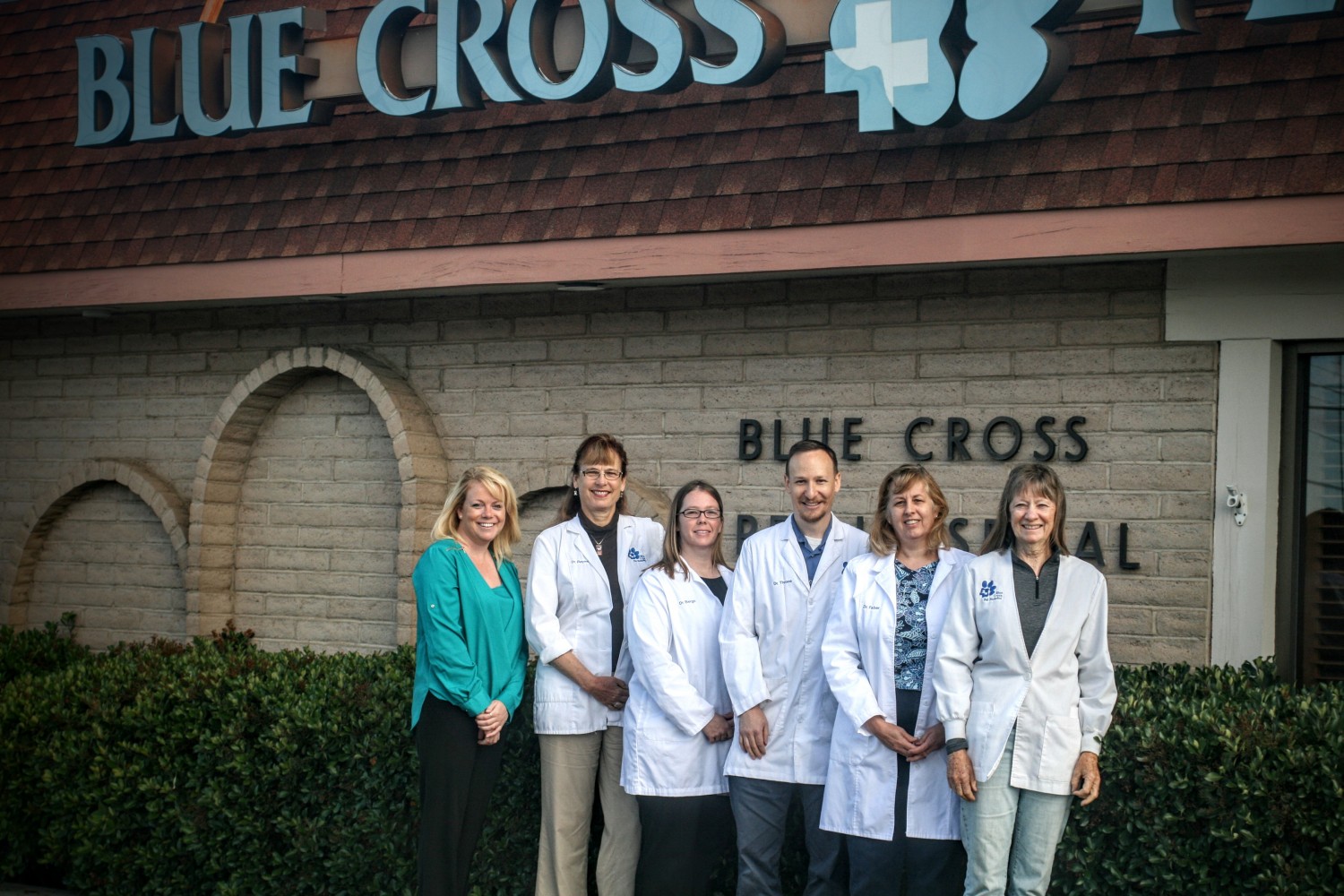 Blue Cross Pet Hospital Small Veterinarians